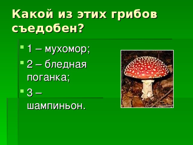 Какой из этих грибов съедобен?