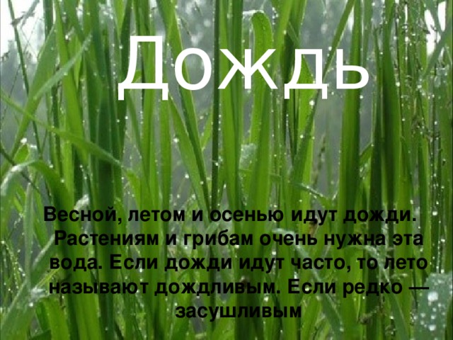 Дождь Весной, летом и осенью идут дожди. Растениям и грибам очень нужна эта вода. Если дожди идут часто, то лето называют дождливым. Если редко —засушливым