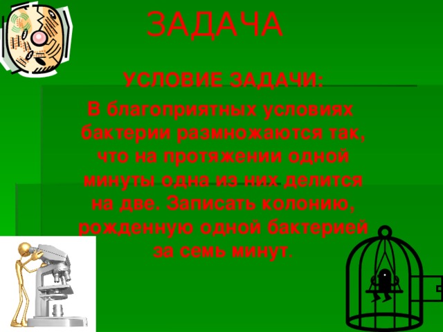 ЗАДАЧА УСЛОВИЕ ЗАДАЧИ: В благоприятных условиях бактерии размножаются так, что на протяжении одной минуты одна из них делится на две. Записать колонию, рожденную одной бактерией за семь минут .