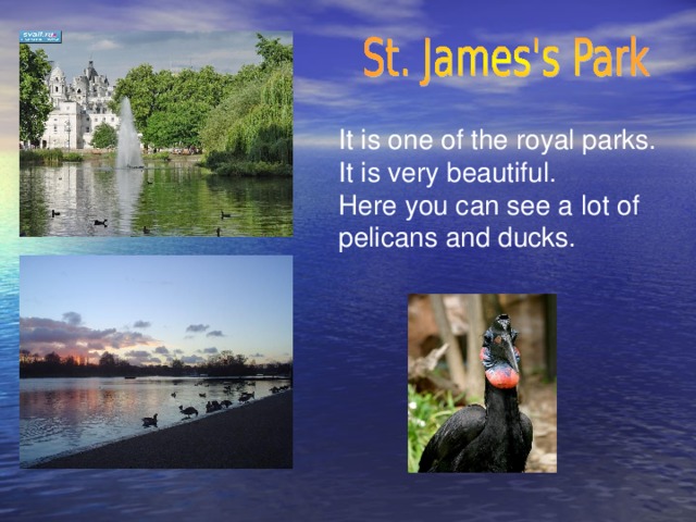 It is one of the royal parks. It is very beautiful. Here you can see a lot of pelicans and ducks.
