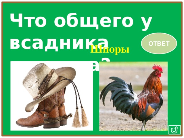 Что общего у всадника и петуха? ОТВЕТ Шпоры