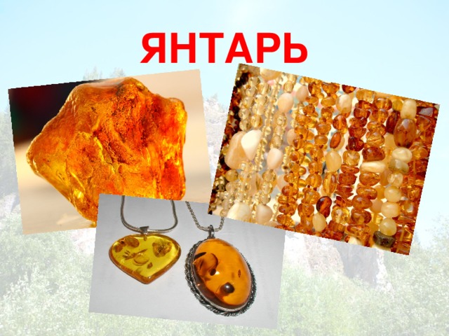 ЯНТАРЬ