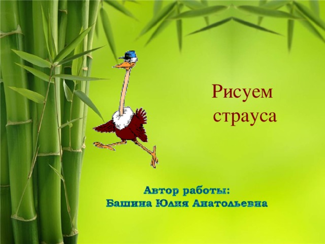 Рисуем  страуса