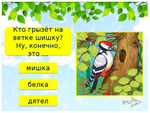 Кто грызёт на ветке шишку?  Ну, конечно, это ... мишка белка дятел