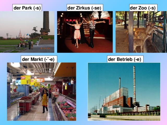 der Zirkus (-se )  der Park (-s) der Zoo (-s)  der Markt (-¨-e)  der Betrieb (-e)