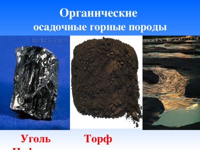 Органические  осадочные горные породы  Уголь Торф Нефть