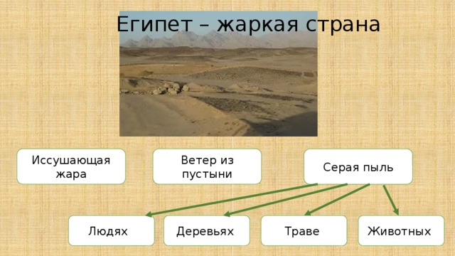 Египет – жаркая страна Иссушающая жара Ветер из пустыни Серая пыль Деревьях Траве Животных Людях