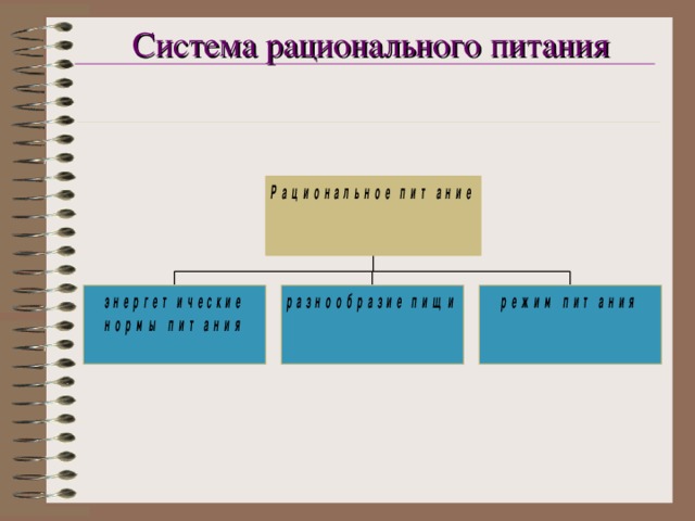 Система рационального питания