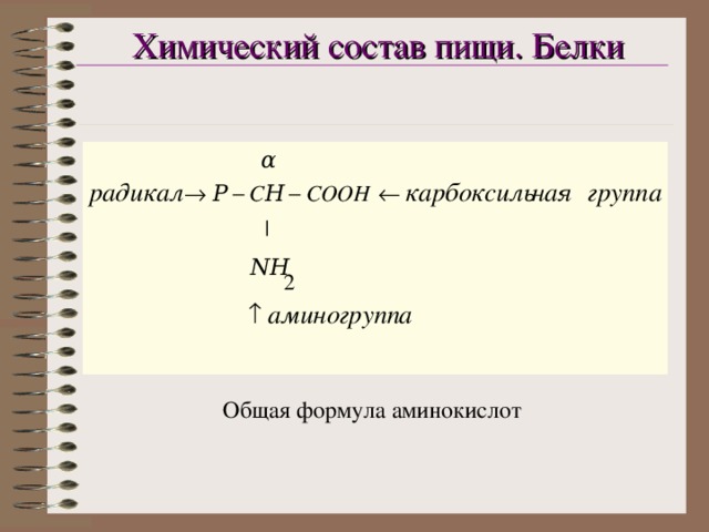 Химический состав пищи. Белки Общая формула аминокислот