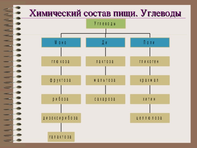 Химический состав пищи. Углеводы