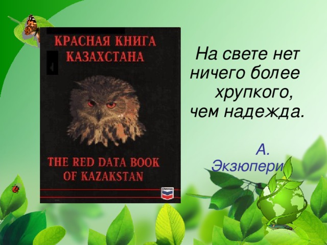 На свете нет ничего более хрупкого, чем надежда.    А. Экзюпери