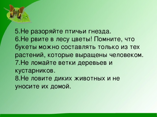 5.Не разоряйте птичьи гнезда.   6.Не рвите в лесу цветы! Помните, что букеты можно составлять только из тех растений, которые выращены человеком.   7.Не ломайте ветки деревьев и кустарников.   8.Не ловите диких животных и не уносите их домой. 