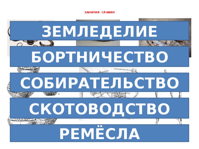 ЗАНЯТИЯ СЛАВЯН   ЗЕМЛЕДЕЛИЕ  БОРТНИЧЕСТВО СОБИРАТЕЛЬСТВО СКОТОВОДСТВО РЕМЁСЛА