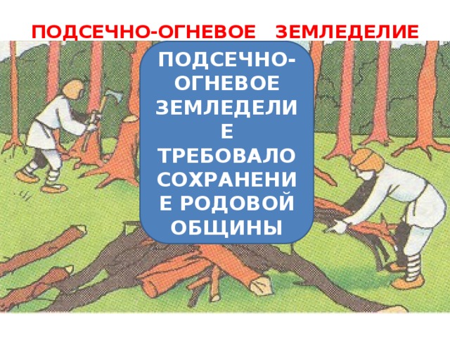 Сравните подсечно огневую систему земледелия с трехпольем. Подсечное земледелие в древней Руси. Подсечно-огневое земледелие восточных славян. Подсечная система земледелия. Подсечно-огневая система земледелия это.