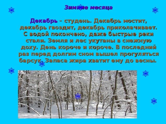 Зимние месяца   Декабрь – студень. Декабрь мостит, декабрь гвоздит, декабрь приколачивает. С водой покончено, даже быстрые реки стали. Земля и лес укутаны в снежную доху. День короче и короче. В последний раз перед долгим сном вышел прогуляться барсук. Запаса жира хватит ему до весны.