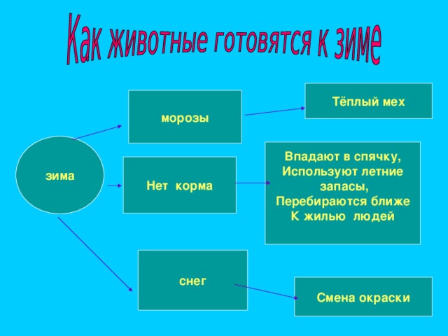 Тёплый мех морозы зима Впадают в спячку, Используют летние  запасы, Перебираются ближе К жилью людей  Нет корма снег Смена окраски