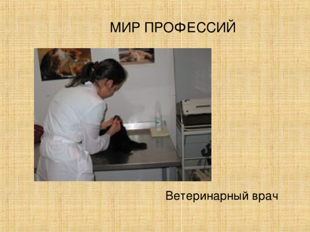 МИР ПРОФЕССИЙ Ветеринарный врач