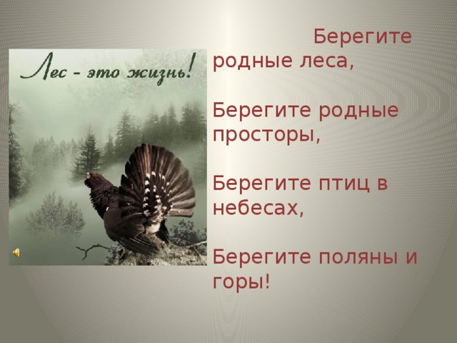 Берегите родные леса,               Берегите родные просторы,          Берегите птиц в небесах,           Берегите поляны и горы!