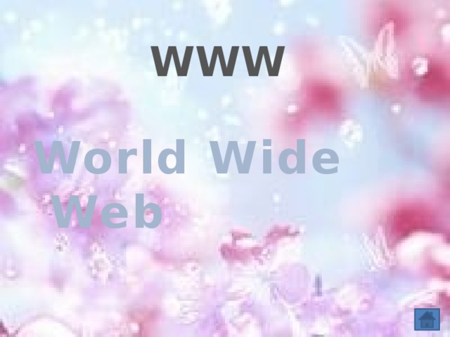 WWW World Wide Web