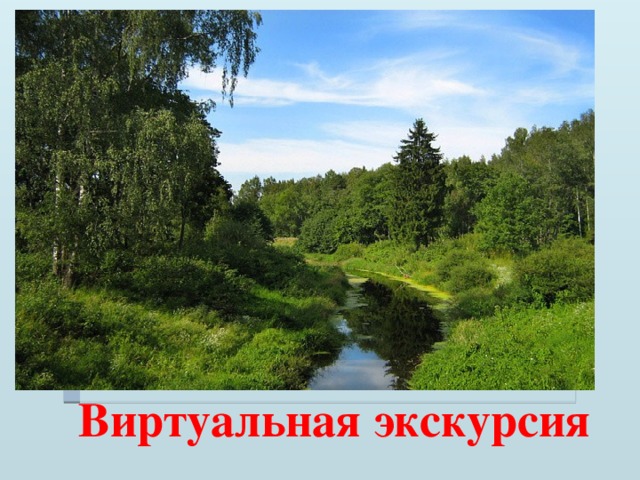 Виртуальная экскурсия