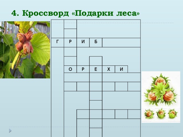 4. Кроссворд «Подарки леса» Г Р И Б О Р Е Х И