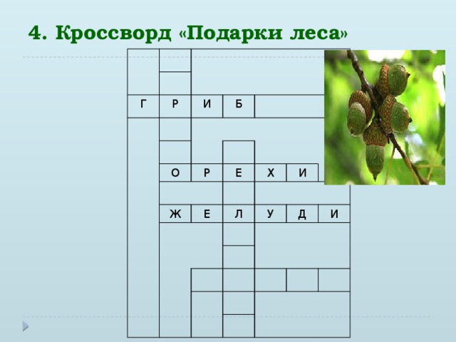 4. Кроссворд «Подарки леса» Г Р И Б О Р Ж Е Е Х И Л У Д И