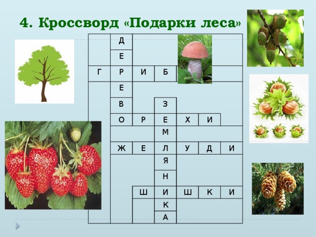 4. Кроссворд «Подарки леса» Д Е Г Р И Е Б В О З Р Е Ж Х М Е Л И У Я Н Ш Д И И Ш К К А И