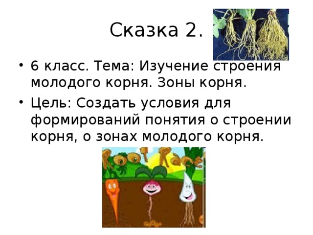 Сказка 2. 6 класс. Тема: Изучение строения молодого корня. Зоны корня. Цель: Создать условия для формирований понятия о строении корня, о зонах молодого корня.