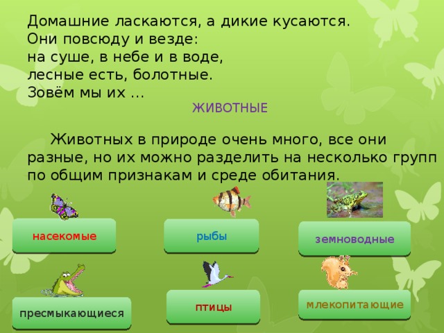 Домашние ласкаются, а дикие кусаются. Они повсюду и везде: на суше, в небе и в воде, лесные есть, болотные. Зовём мы их …  ЖИВОТНЫЕ  Животных в природе очень много, все они разные, но их можно разделить на несколько групп по общим признакам и среде обитания. насекомые рыбы земноводные млекопитающие птицы пресмыкающиеся