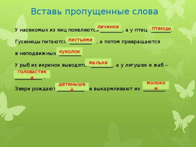 Вставь пропущенные слова личинки У насекомых из яиц появляются _________, а у птиц –________. птенцы Гусеницы питаются _________ , а потом превращаются в неподвижных _________. У рыб из икринок выводятся _________, а у лягушек и жаб – ___________ . Звери рождают ___________ и выкармливают их _________ листьями куколок мальки головастики молоком детенышей