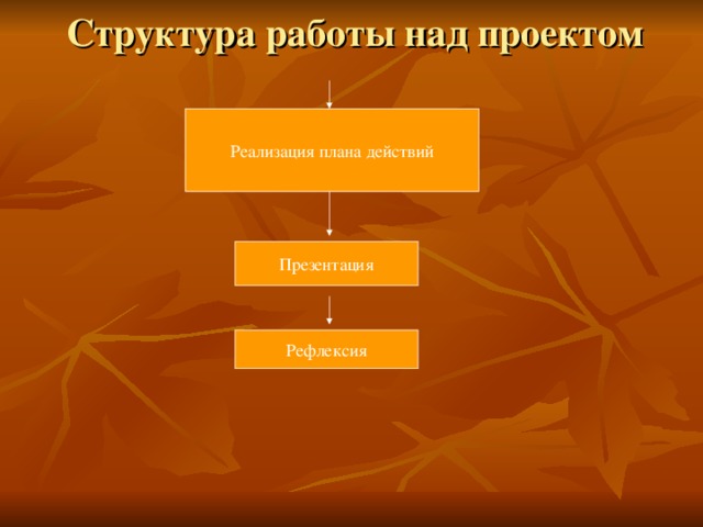 Структура работы над проектом Реализация плана действий Презентация Рефлексия