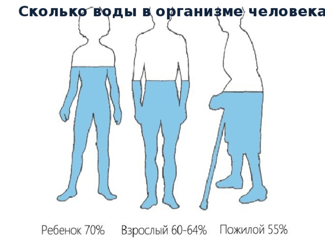 Вода в организме человека. Сколько воды в теле человека. Количество воды в организме человека. Сколько воды в организме человке. Сколько воды в человеке.