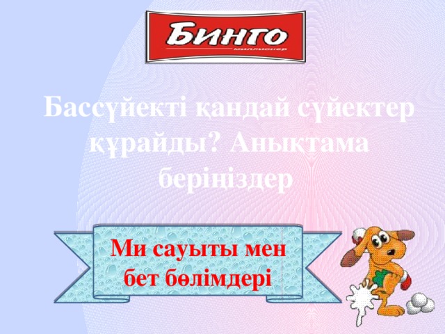 Бассүйекті қандай сүйектер құрайды? Анықтама беріңіздер Ми сауыты мен бет бөлімдері