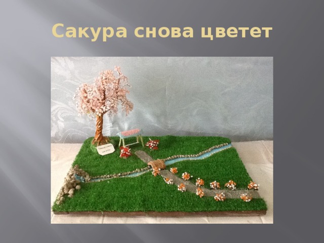 Сакура снова цветет