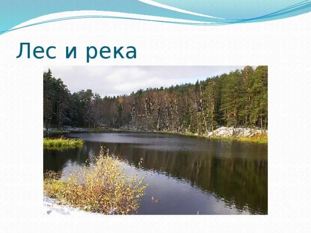 Лес и река