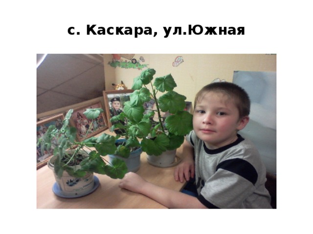 с. Каскара, ул.Южная