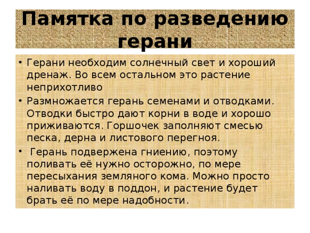 Памятка по разведению герани