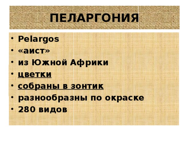 ПЕЛАРГОНИЯ