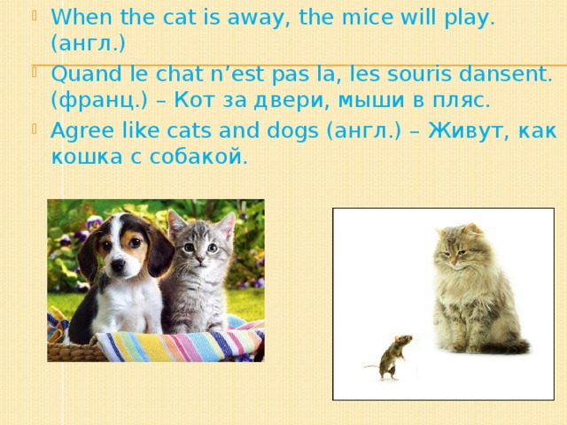When the cat is away, the mice will play.(англ.) Quand le chat n’est pas la, les souris dansent. (франц.) – Кот за двери, мыши в пляс. Agree like cats and dogs (англ.) – Живут, как кошка с собакой.