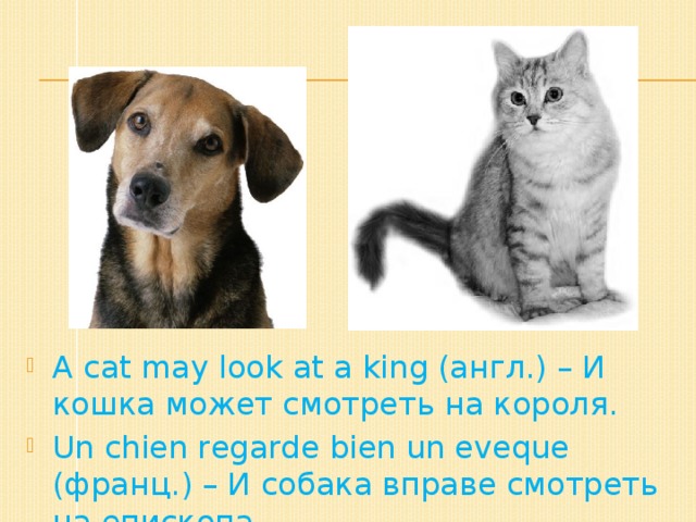 A cat may look at a king (англ.) – И кошка может смотреть на короля. Un chien regarde bien un eveque (франц.) – И собака вправе смотреть на епископа.