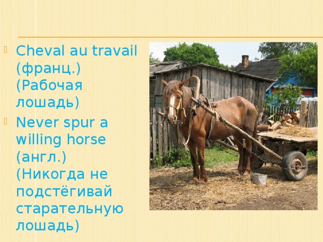 Сheval au travail (франц.)  (Рабочая лошадь) Never spur a willing horse (англ.)  (Никогда не подстёгивай старательную лошадь)