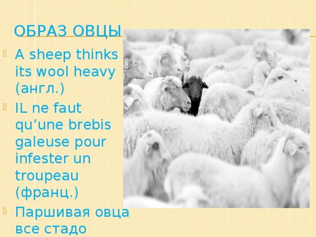 Образ овцы