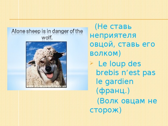 (Не ставь неприятеля овцой, ставь его волком)  Le loup des brebis n’est pas le gardien (франц.)  (Волк овцам не сторож)