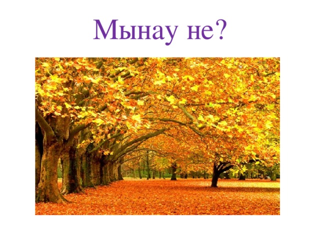 Мынау не?