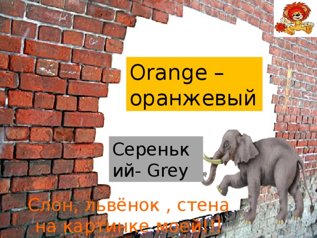 Orange – оранжевый Серенький- Grey Слон, львёнок , стена на картинке моей!!!