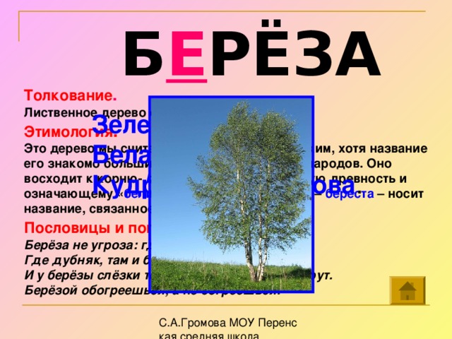 Б Е РЁЗА Толкование . Лиственное дерево с белой корой. Этимология . Это дерево мы считаем нашим, исконно русским, хотя название его знакомо большинству индоевропейских народов. Оно восходит к корню- bhe -, уходящему в глубокую древность и означающему « белизна ».Ведь и кора берёзы – береста – носит название, связанное с тем же корнем. Пословицы и поговорки . Берёза не угроза: где стоит там и шумит. Где дубняк, там и березняк. И у берёзы слёзки текут, когда с неё кору дерут. Берёзой обогреешься, а не согреешься. Зелена, а не луг, Бела, а не снег, Кудрява, а не голова .