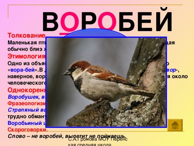 В О Р О БЕЙ Толкование . Маленькая птичка с коричневато-серым оперением, живущая обычно близ жилых строений. Этимология . Одно из объяснений названия этой птицы просто-напросто « вора-бей ».В древнерусском языке существовала основа вор -, наверное, воробей и получил своё имя, потому что вертелся около человеческого жилья. Однокоренные слова . Воробушек, воробьиная, воробьиха, воробьёнок. Фразеологизмы . Стреляный воробей – о многоопытном человеке, которого трудно обмануть, провести. Воробьиный шаг – мелкий, короткий шаг. Скороговорки . Слово – не воробей, вылетит не поймаешь. робей