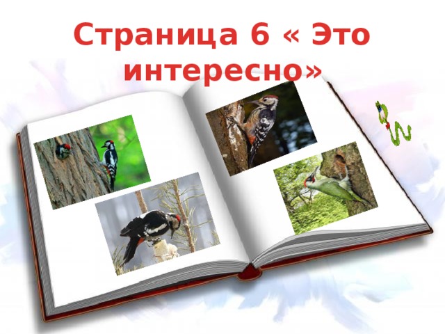 Страница 6 « Это интересно»