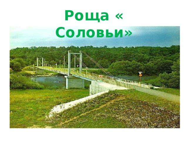 Роща « Соловьи»