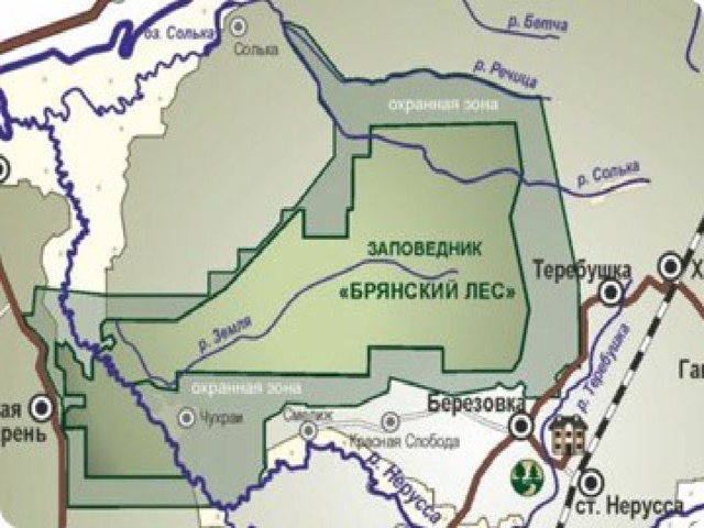 Брянский лес карта